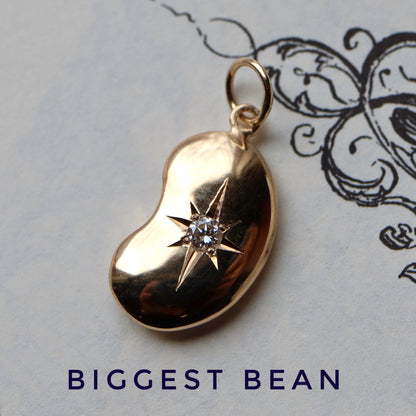 Sparkle Bean Pendant